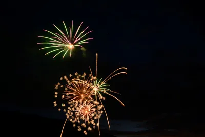 DSC_3353 (Large).JPG